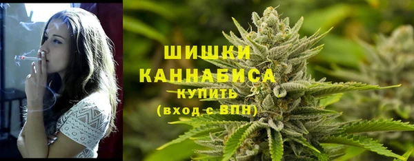 2c-b Вяземский